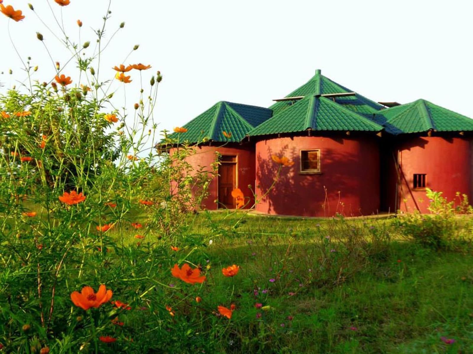 Ot Nywal Me Kuc birth center behind a field of orange wildflowers